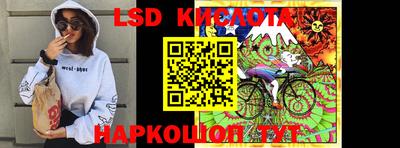 крисы Будённовск