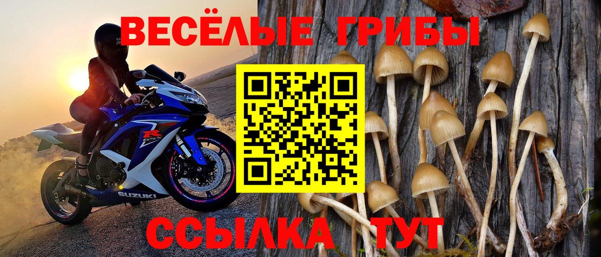 Галлюциногенные грибы Cubensis Жигулёвск