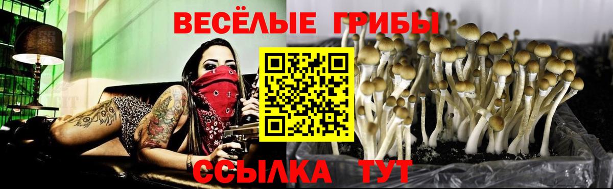 Псилоцибиновые грибы мицелий  Жигулёвск 