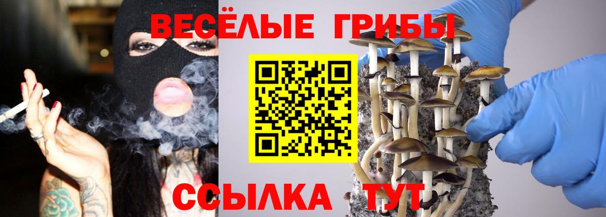 Псилоцибиновые грибы ЛСД  Псилоцибиновые грибы Cubensis  Жигулёвск  Вход с VPN 